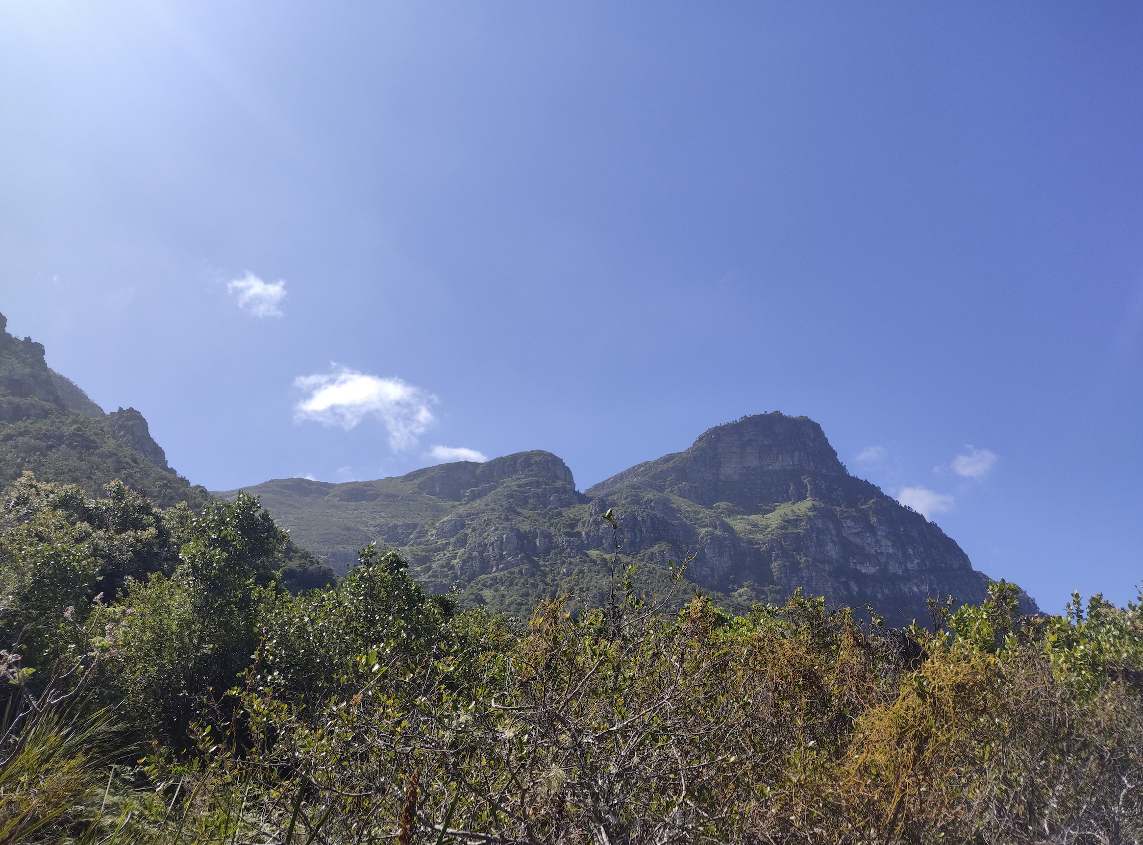 Kirstenbosch National Botanical Garden