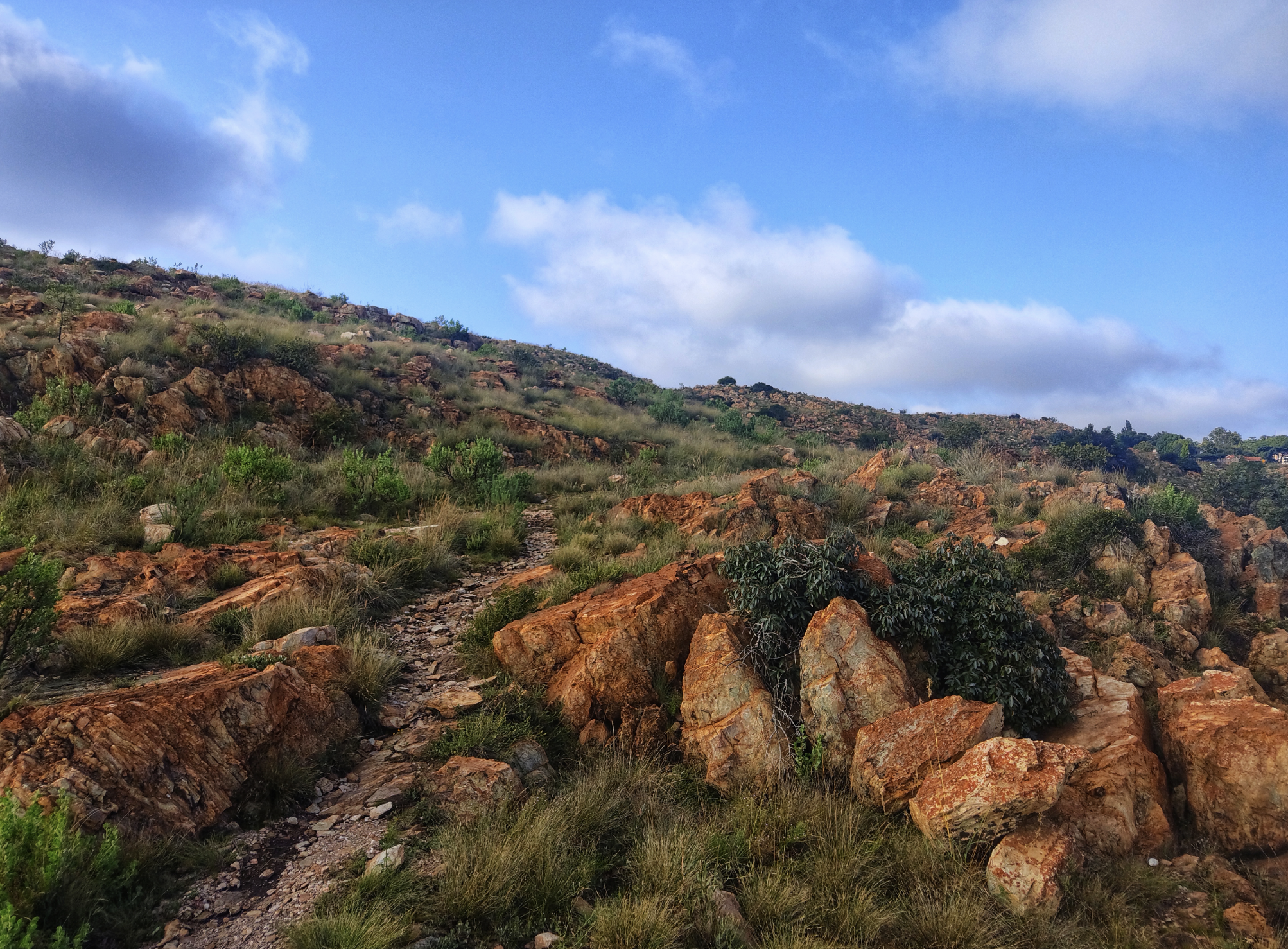 Kloofendal Nature Reserve