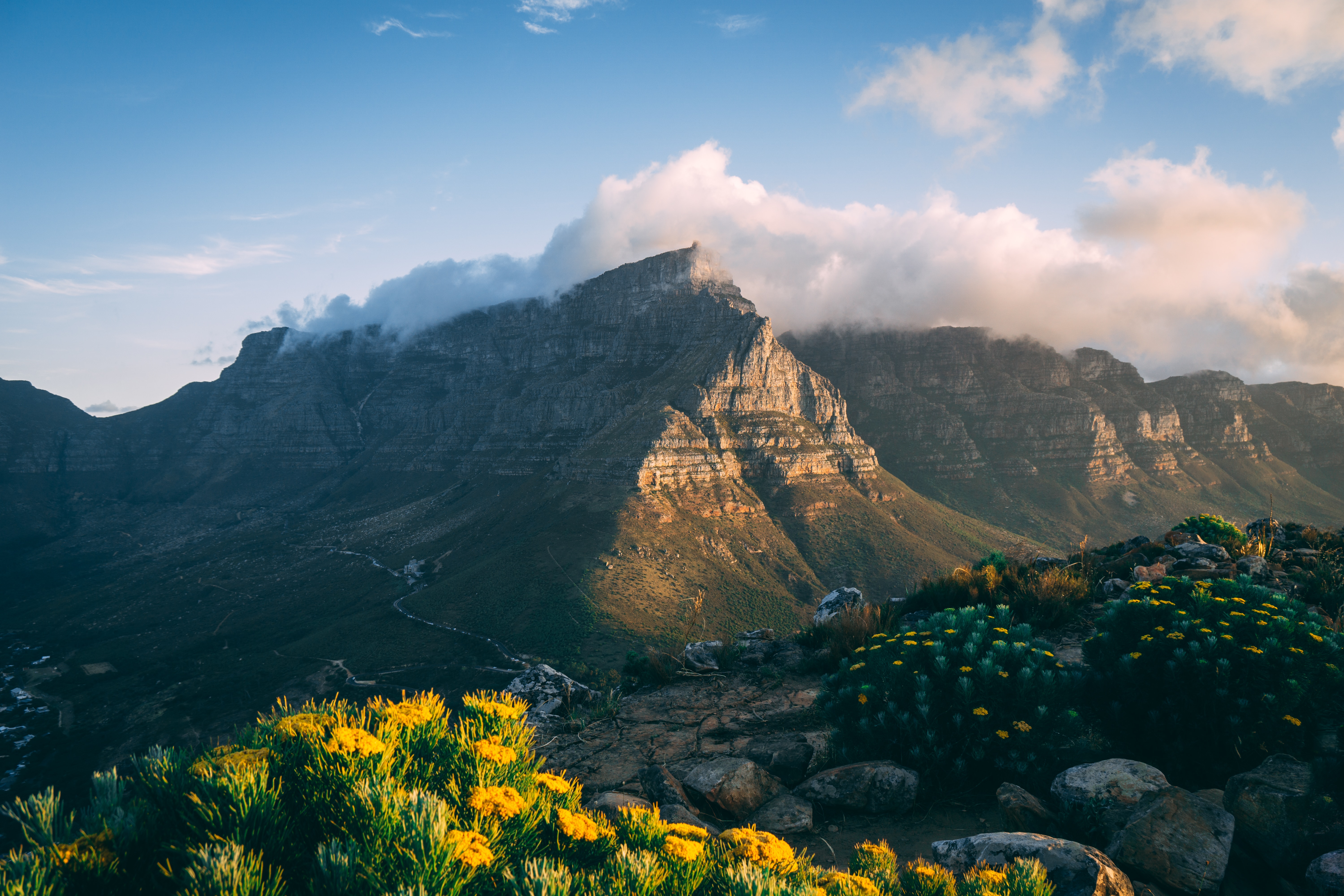 Lion's Head
