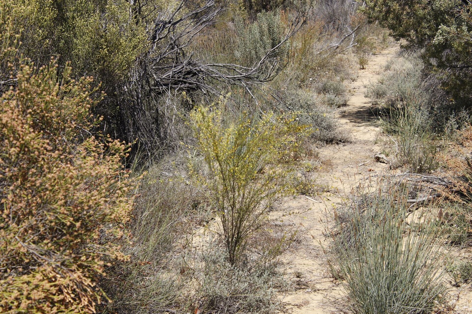 Oorlogskloof Rameron Pigeon Trail