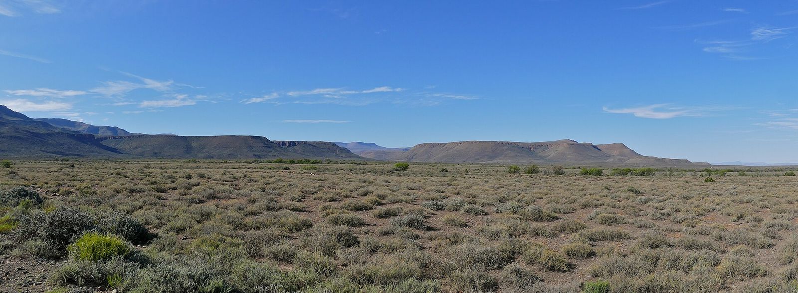 Karoo Erdvark Trail