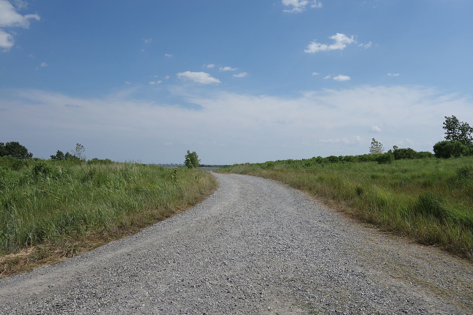 Oystercatcher trail