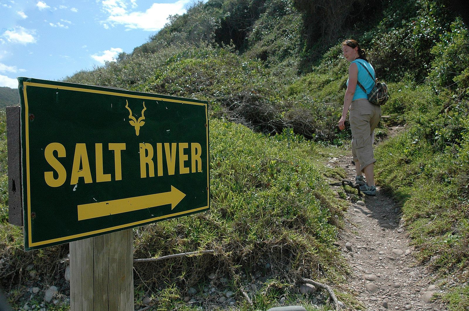 Salt River Trail