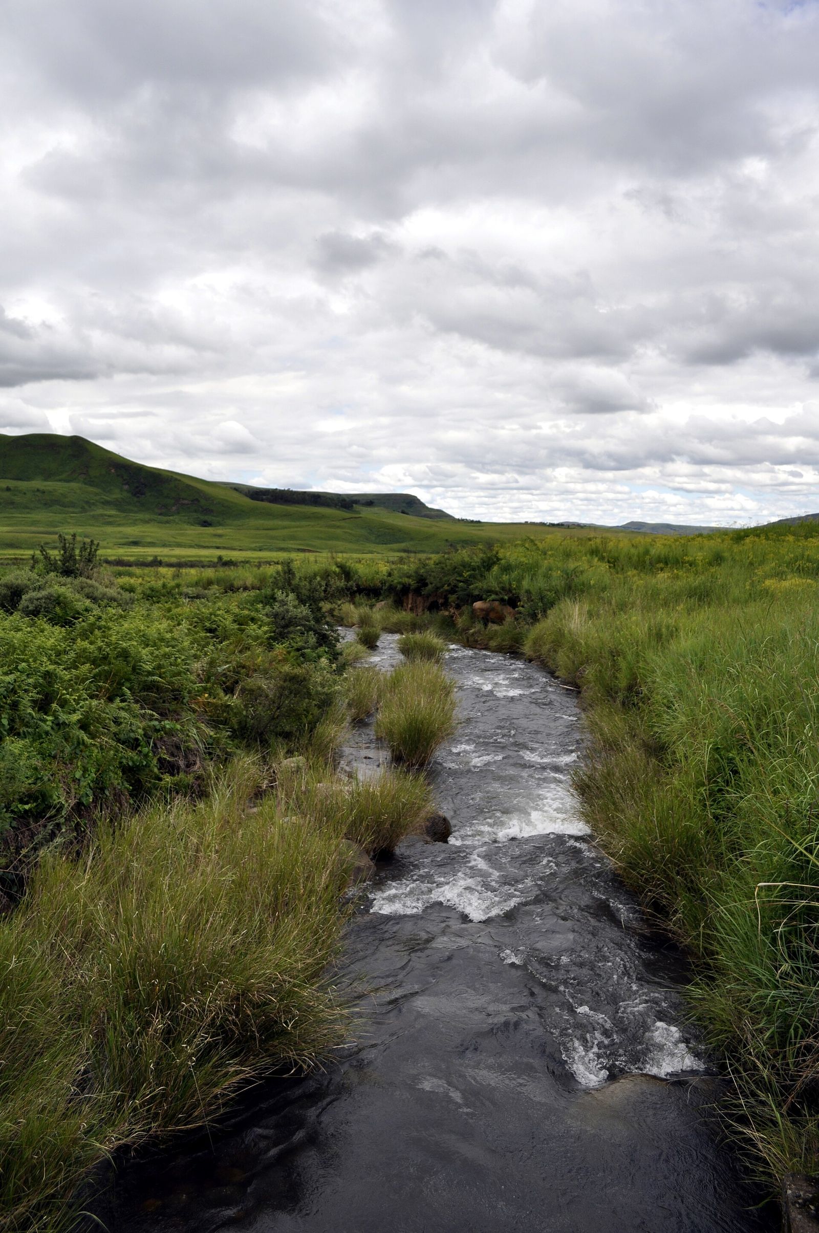 Ganabu Ridge and Baboon Rock Hike