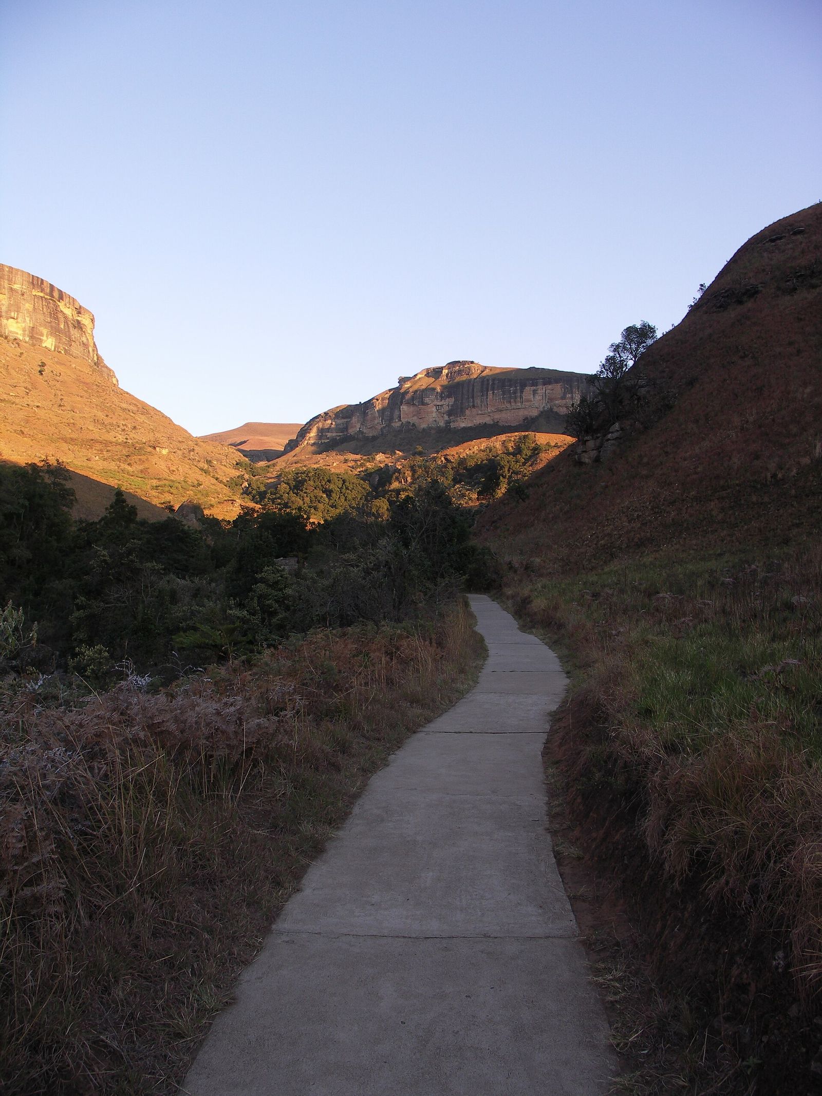 Ploughman’s Kop Trail