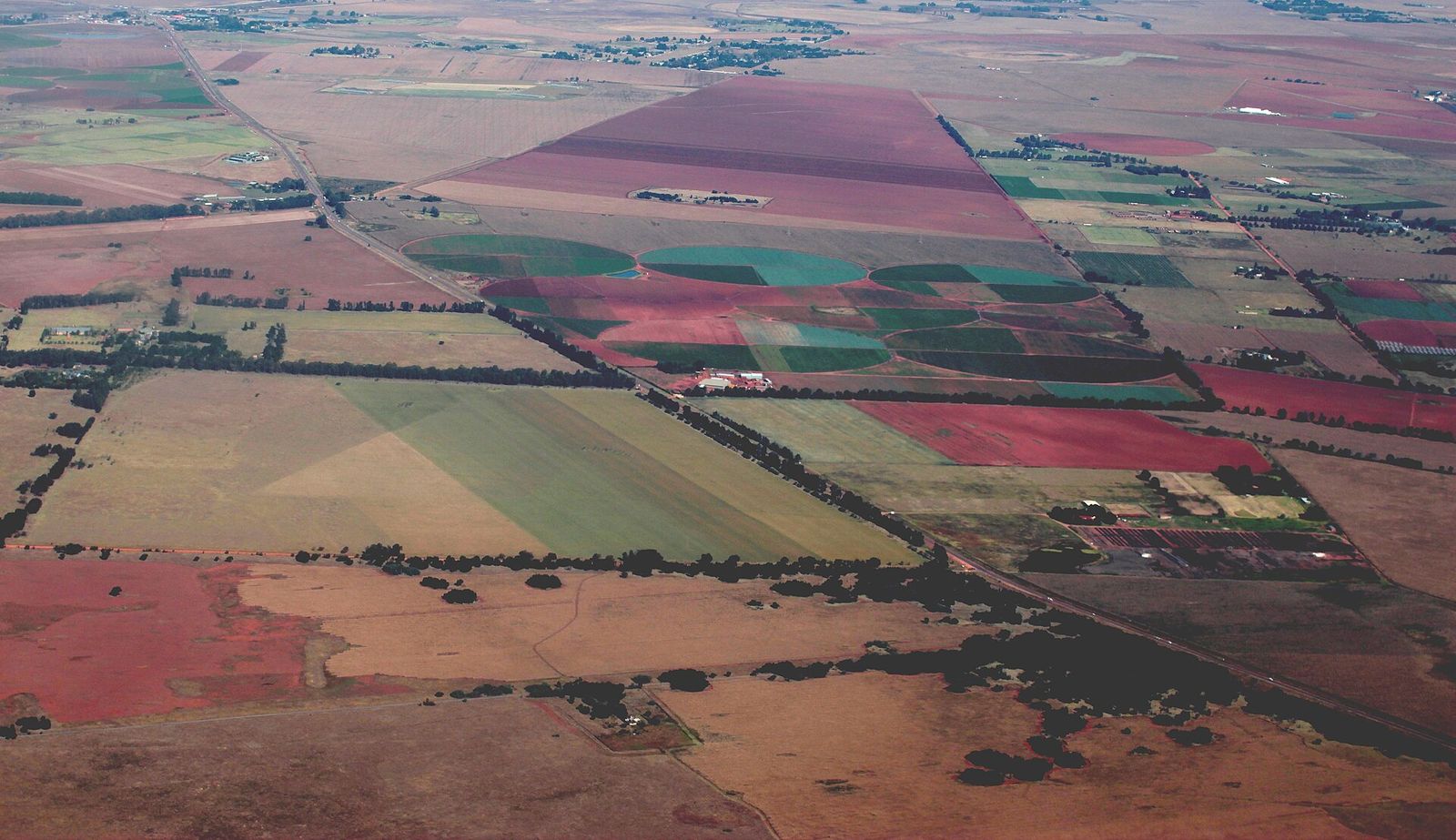 Northern Farm
