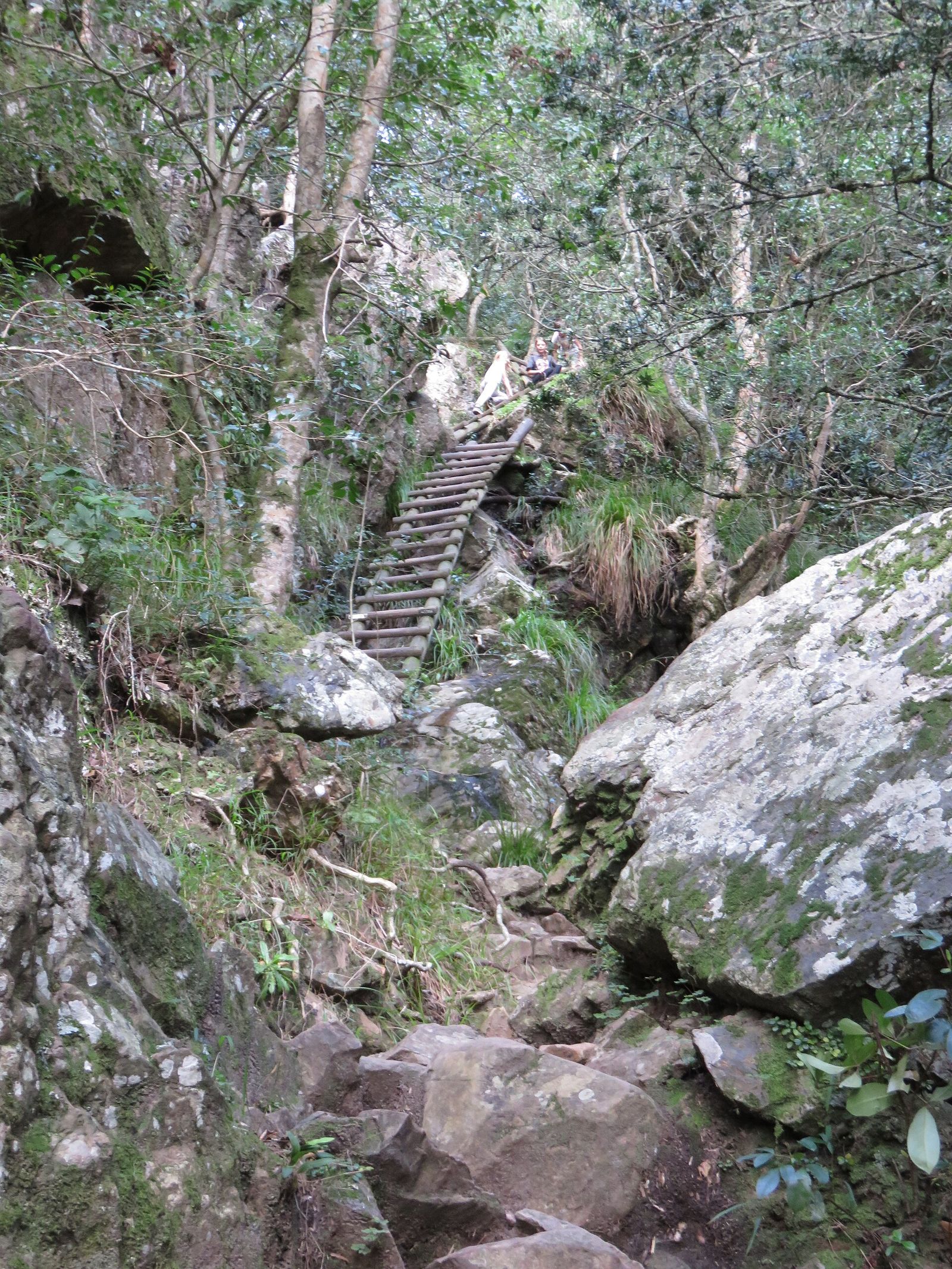 Skeleton Gorge Trail