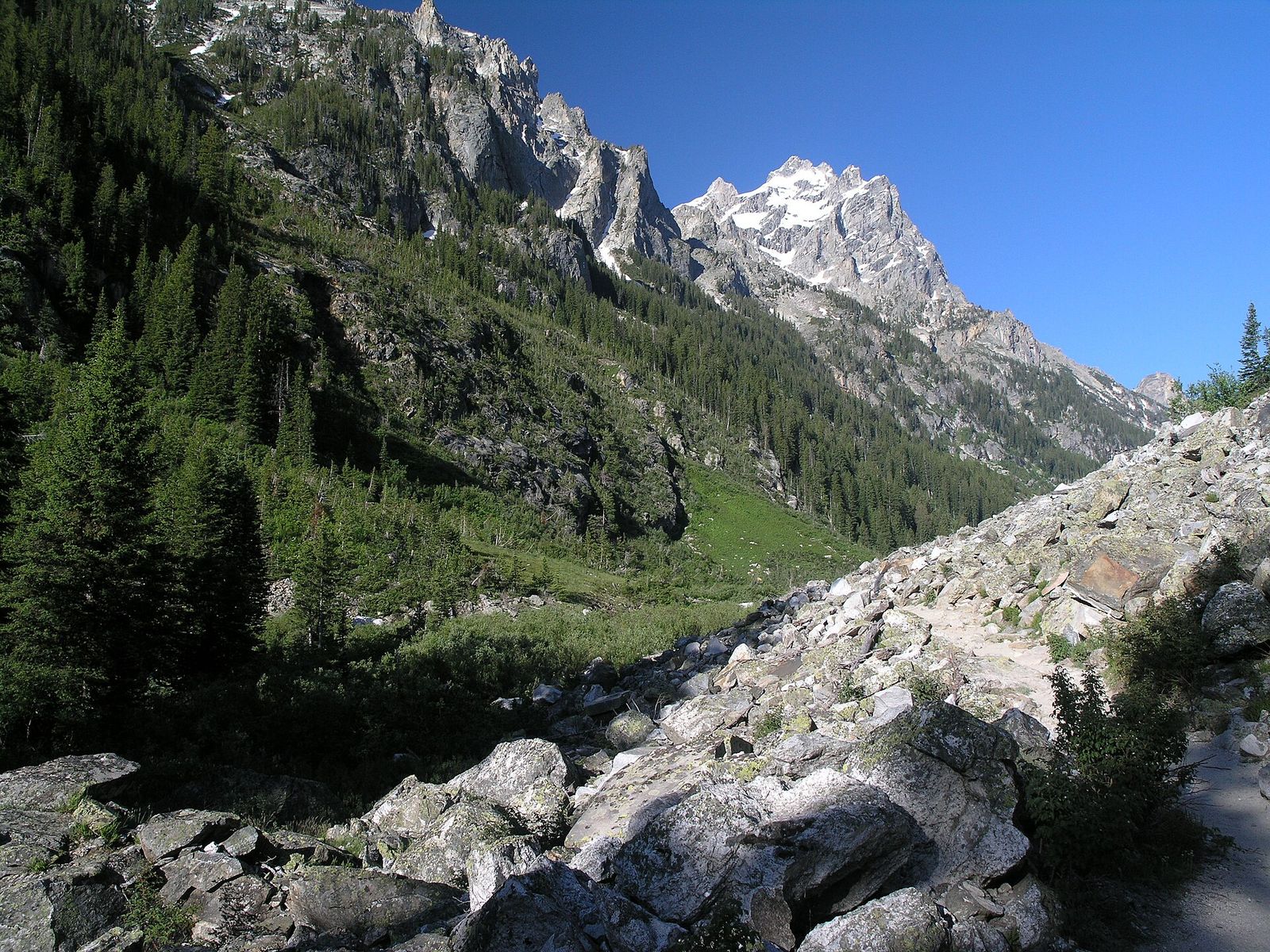 Cascade Canyon Trail