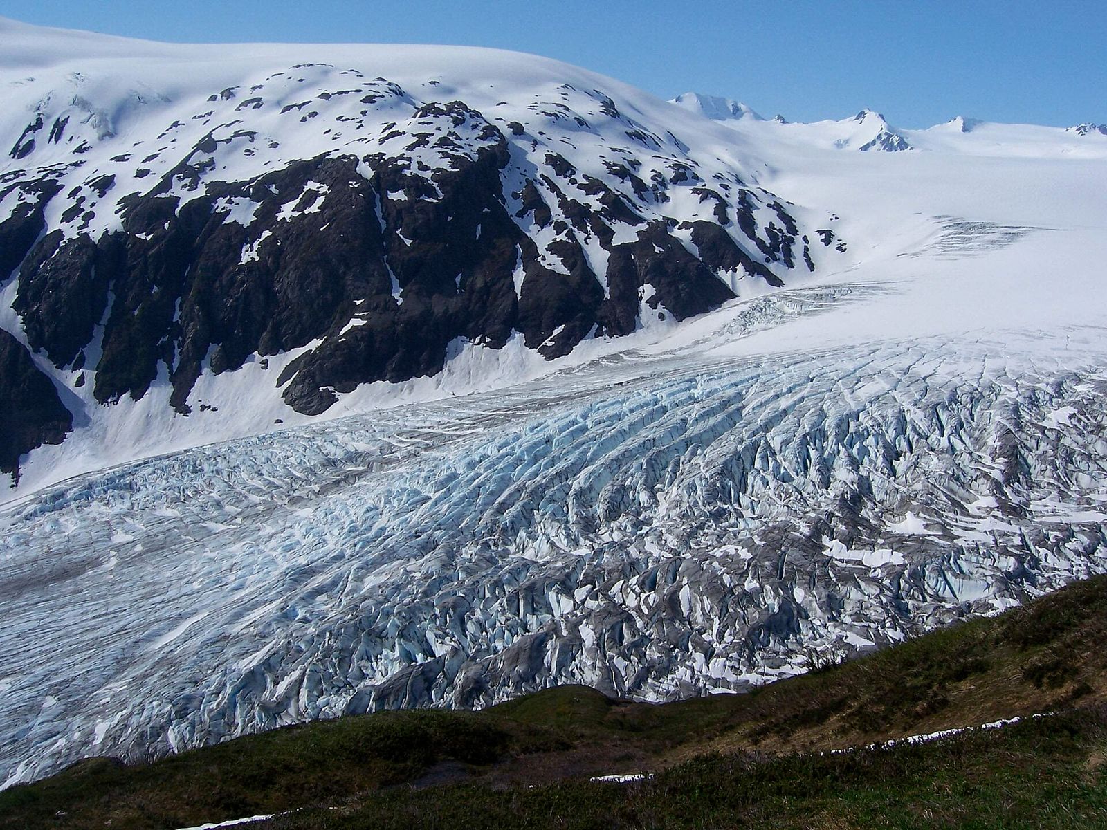 Harding Icefield Trail