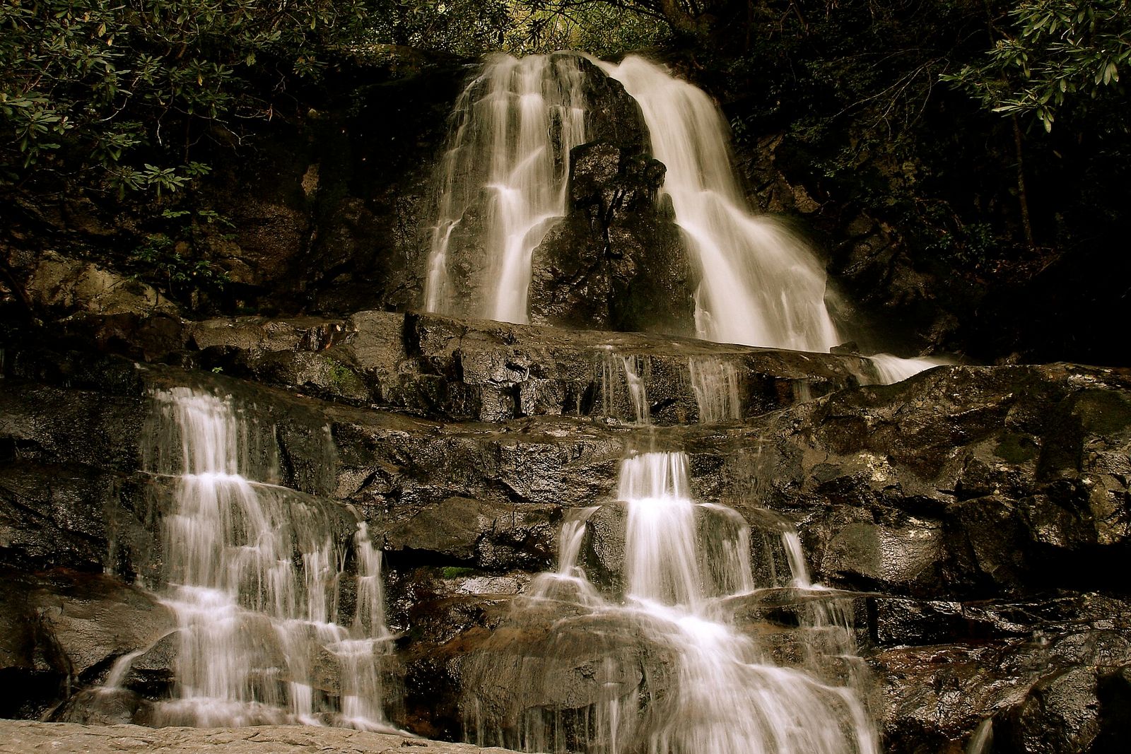 Laurel Falls Trail