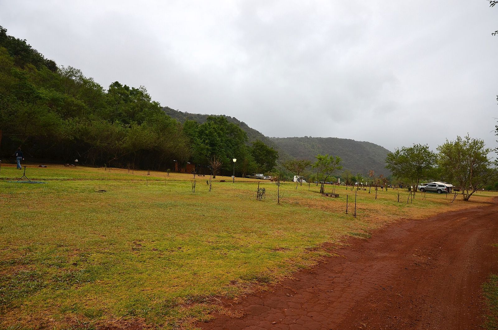 Mankele