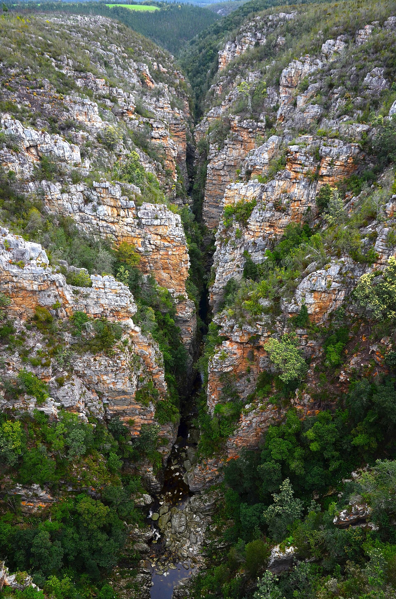 Storms River Mouth Trail