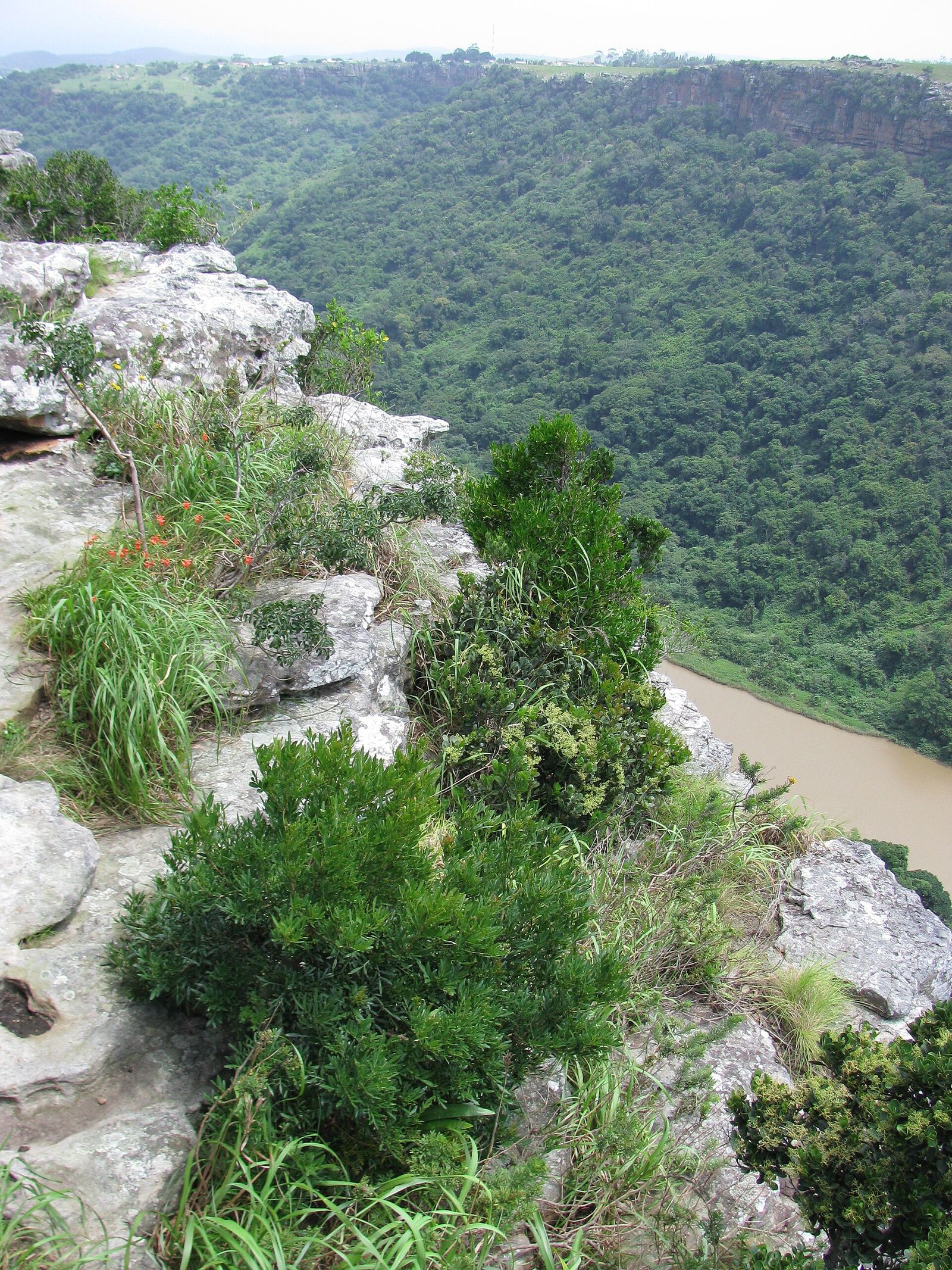 Umtamvuna Nature Reserve