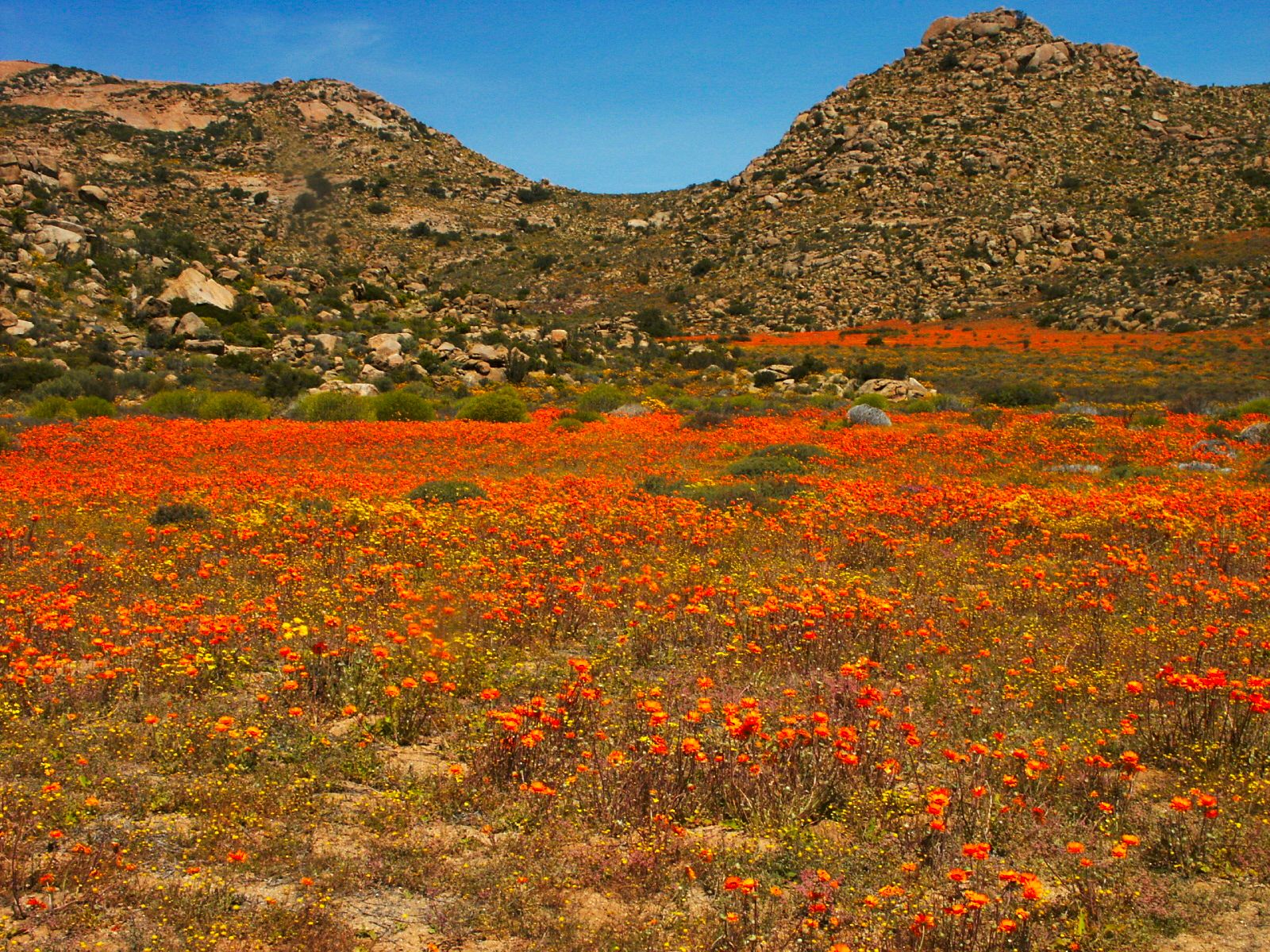 Namaqua National Park