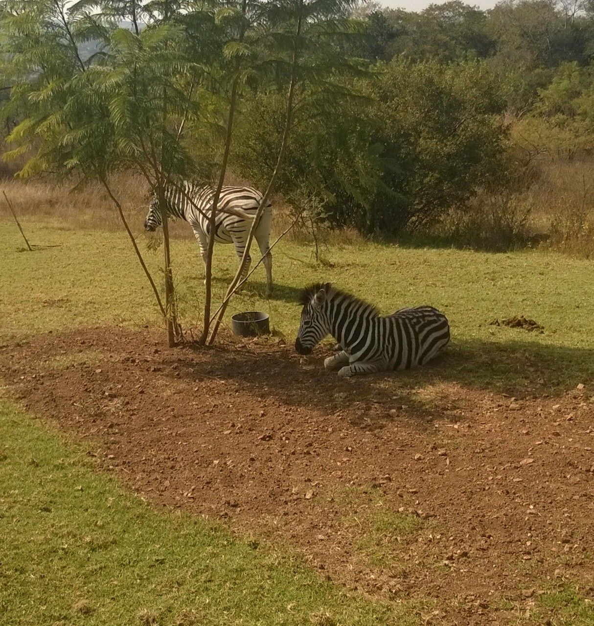 Moreleta Kloof Nature Reserve Trail
