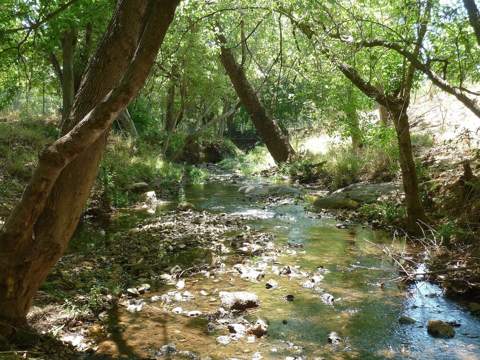 Groenkloof Nature Reserve