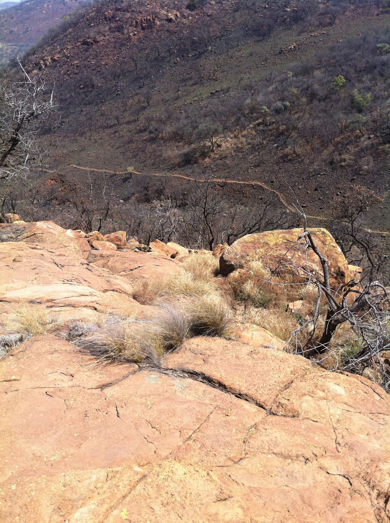 Klipriviersberg nature reserve
