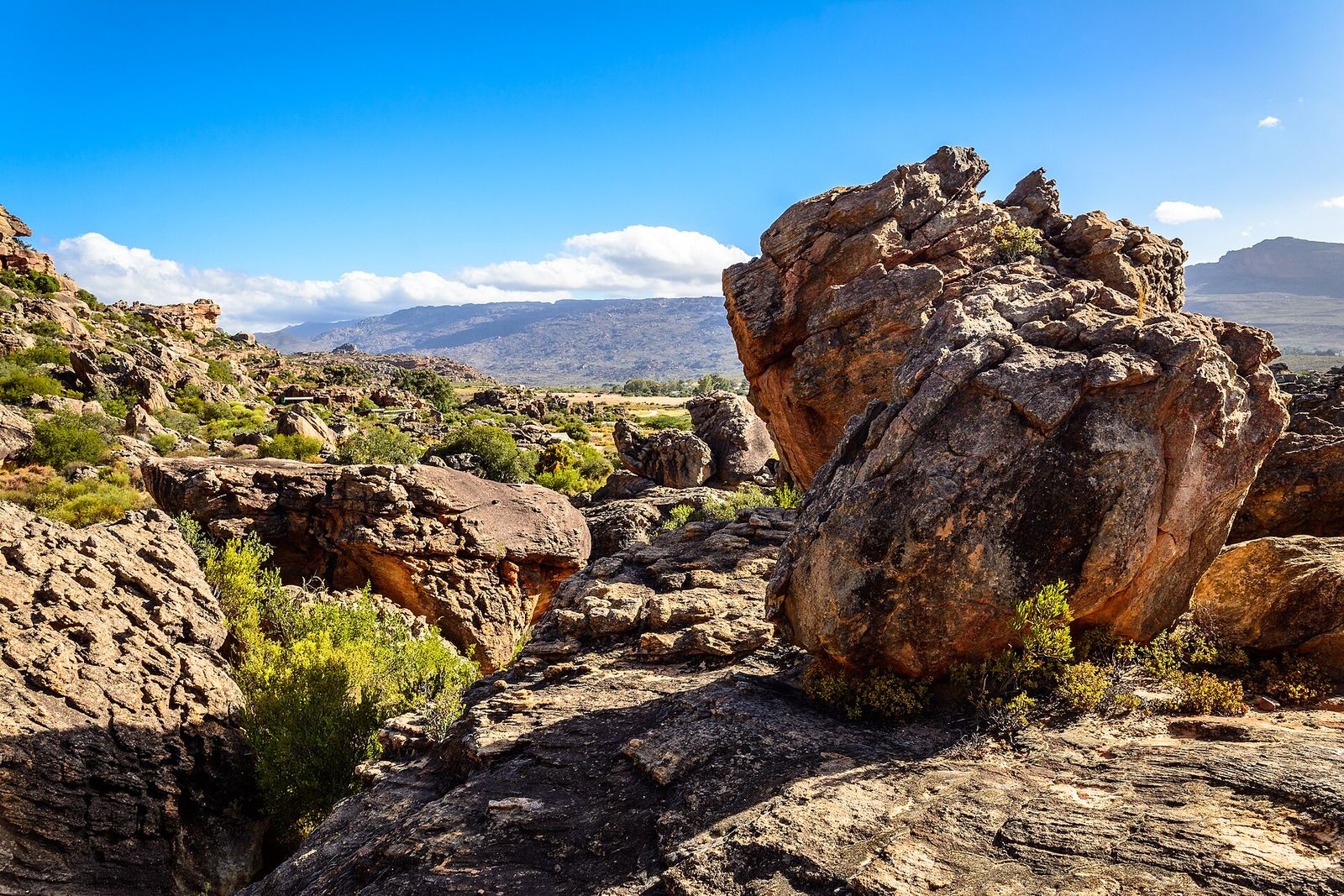 Cederberg Wilderness Area